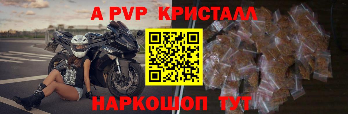 Alfa_PVP СК КРИС Прокопьевск