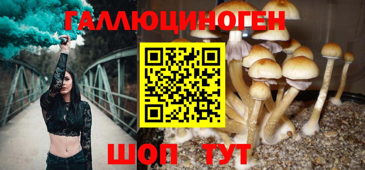 Галлюциногенные грибы прущие грибы Прокопьевск