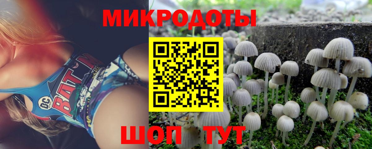 Прокопьевск  Галлюциногенные грибы Psilocybine cubensis  Вход с VPN 